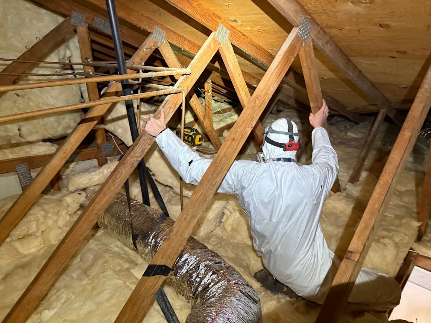 Attic Guard image 2